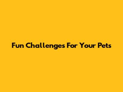 Fun Challenges For Your Pets