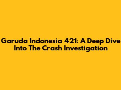 Garuda Indonesia 421: A Deep Dive Into The Crash Investigation
