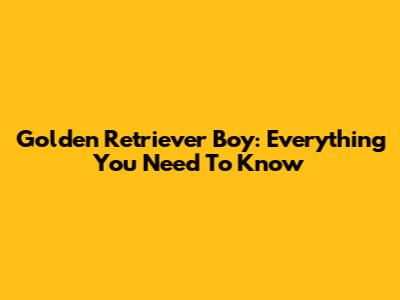 Golden Retriever Boy: Everything You Need To Know