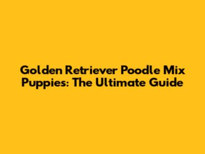 Golden Retriever Poodle Mix Puppies: The Ultimate Guide