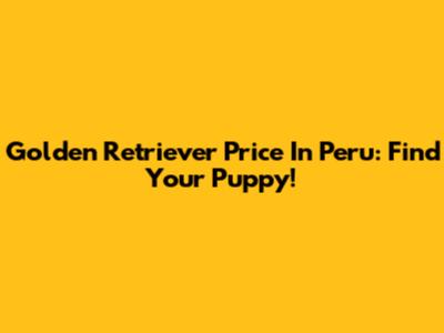 Golden Retriever Price In Peru: Find Your Puppy!