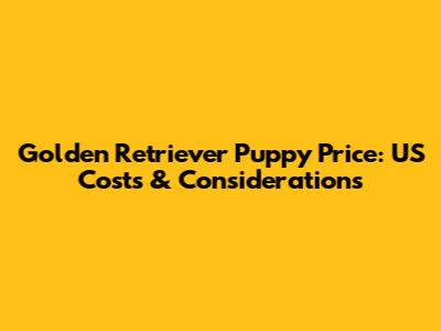 Golden Retriever Puppy Price: US Costs & Considerations
