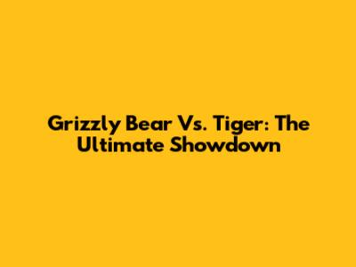 Grizzly Bear Vs. Tiger: The Ultimate Showdown