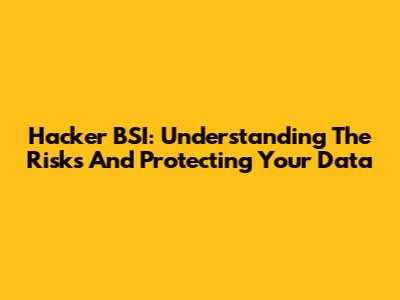 Hacker BSI: Understanding The Risks And Protecting Your Data