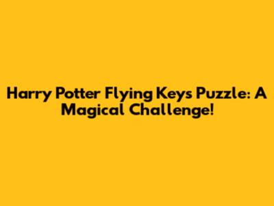 Harry Potter Flying Keys Puzzle: A Magical Challenge!