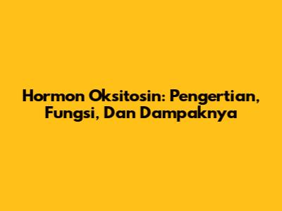 Hormon Oksitosin: Pengertian, Fungsi, Dan Dampaknya
