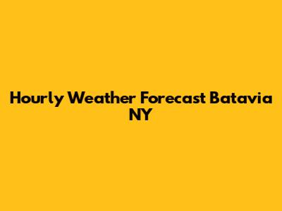 Hourly Weather Forecast Batavia NY