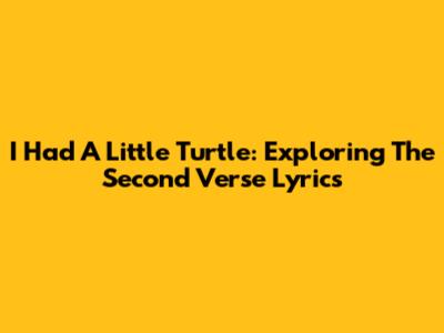 I Had A Little Turtle: Exploring The Second Verse Lyrics