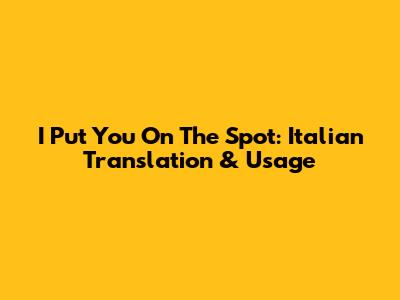 I Put You On The Spot: Italian Translation & Usage