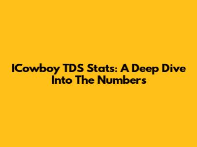 ICowboy TDS Stats: A Deep Dive Into The Numbers