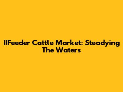 IIFeeder Cattle Market: Steadying The Waters