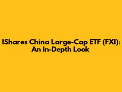 IShares China Large-Cap ETF (FXI): An In-Depth Look