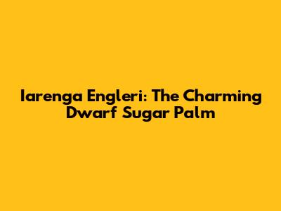 Iarenga Engleri: The Charming Dwarf Sugar Palm
