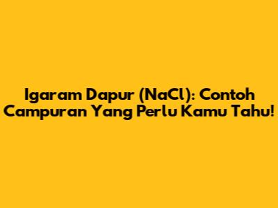 Igaram Dapur (NaCl): Contoh Campuran Yang Perlu Kamu Tahu!
