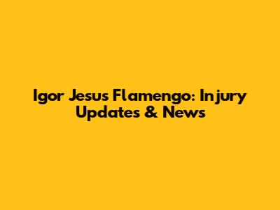 Igor Jesus Flamengo: Injury Updates & News