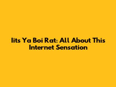 Iits Ya Boi Rat: All About This Internet Sensation