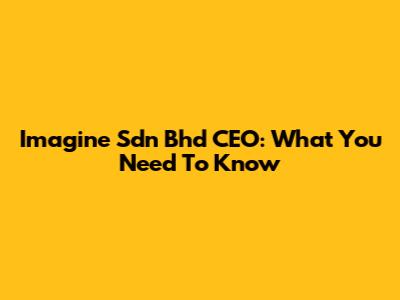 Imagine Sdn Bhd CEO: What You Need To Know