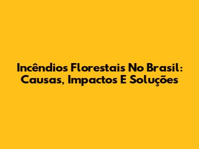Incêndios Florestais No Brasil: Causas, Impactos E Soluções