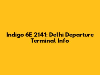 Indigo 6E 2141: Delhi Departure Terminal Info