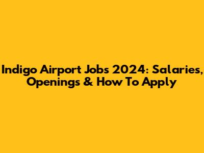 Indigo Airport Jobs 2024: Salaries, Openings & How To Apply