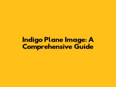 Indigo Plane Image: A Comprehensive Guide