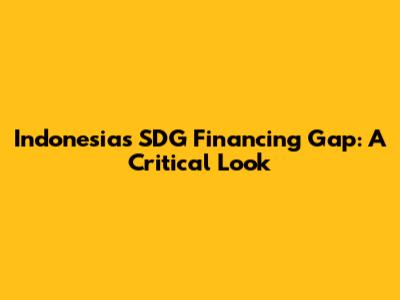 Indonesia's SDG Financing Gap: A Critical Look