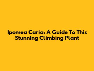 Ipomea Caria: A Guide To This Stunning Climbing Plant