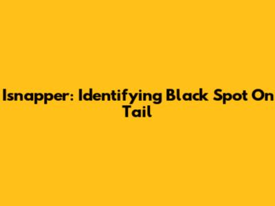 Isnapper: Identifying Black Spot On Tail