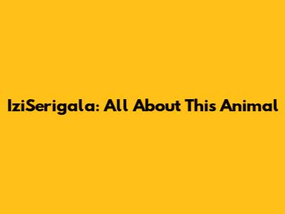 IziSerigala: All About This Animal