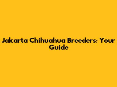 Jakarta Chihuahua Breeders: Your Guide
