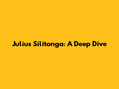 Julius Silitonga: A Deep Dive