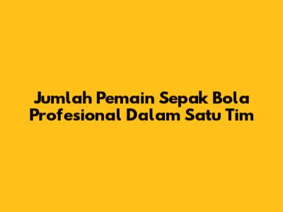 Jumlah Pemain Sepak Bola Profesional Dalam Satu Tim