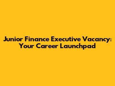 Junior Finance Executive Vacancy: Your Career Launchpad