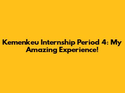 Kemenkeu Internship Period 4: My Amazing Experience!