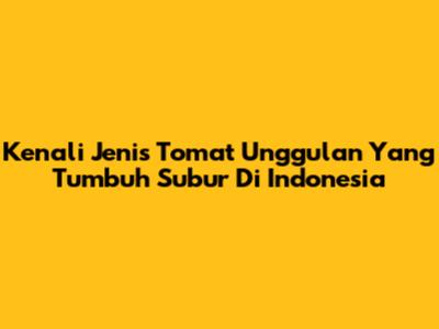 Kenali Jenis Tomat Unggulan Yang Tumbuh Subur Di Indonesia