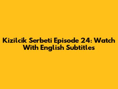 Kizilcik Serbeti Episode 24: Watch With English Subtitles