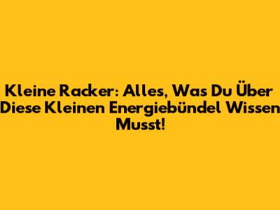 Kleine Racker: Alles, Was Du Über Diese Kleinen Energiebündel Wissen Musst!