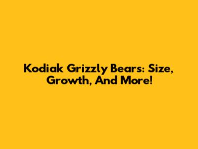 Kodiak Grizzly Bears: Size, Growth, And More!