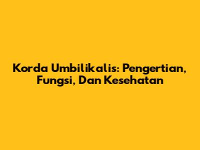 Korda Umbilikalis: Pengertian, Fungsi, Dan Kesehatan