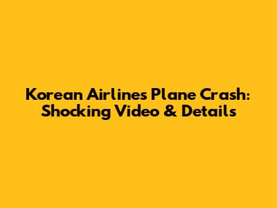 Korean Airlines Plane Crash: Shocking Video & Details