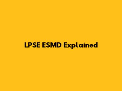 LPSE ESMD Explained