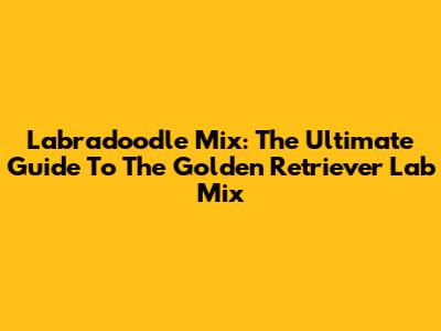 Labradoodle Mix: The Ultimate Guide To The Golden Retriever Lab Mix
