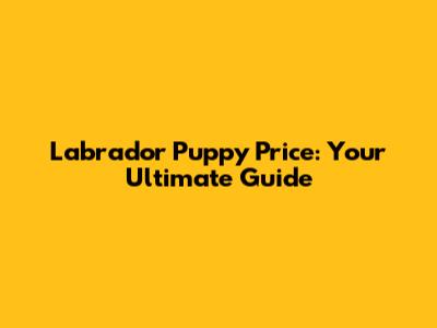 Labrador Puppy Price: Your Ultimate Guide
