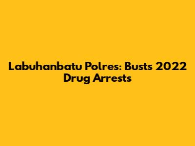 Labuhanbatu Polres: Busts 2022 Drug Arrests