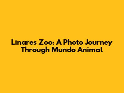 Linares Zoo: A Photo Journey Through Mundo Animal