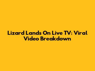 Lizard Lands On Live TV: Viral Video Breakdown