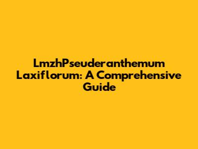 LmzhPseuderanthemum Laxiflorum: A Comprehensive Guide