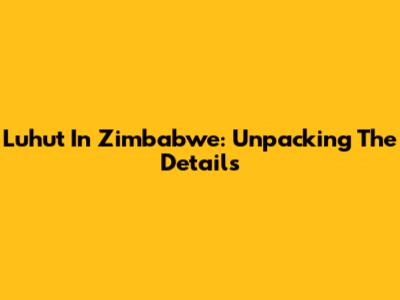 Luhut In Zimbabwe: Unpacking The Details