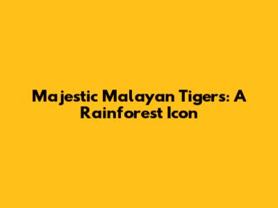 Majestic Malayan Tigers: A Rainforest Icon