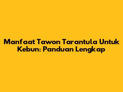 Manfaat Tawon Tarantula Untuk Kebun: Panduan Lengkap